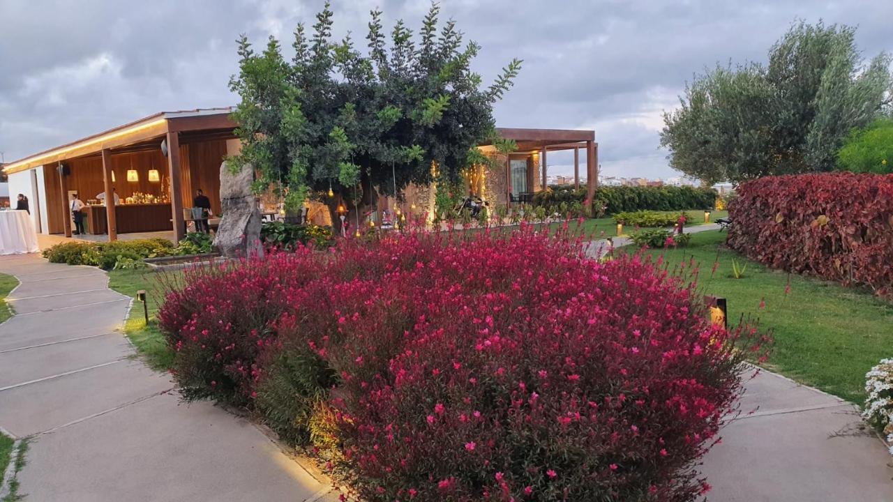 Finca La Suerte Grande Тельде Экстерьер фото